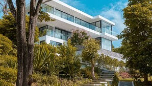 Un bâtiment moderne à deux étages, doté de grandes fenêtres en verre, entouré d’une végétation luxuriante et d’une variété de plantes.