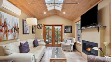 TV, fireplace, books