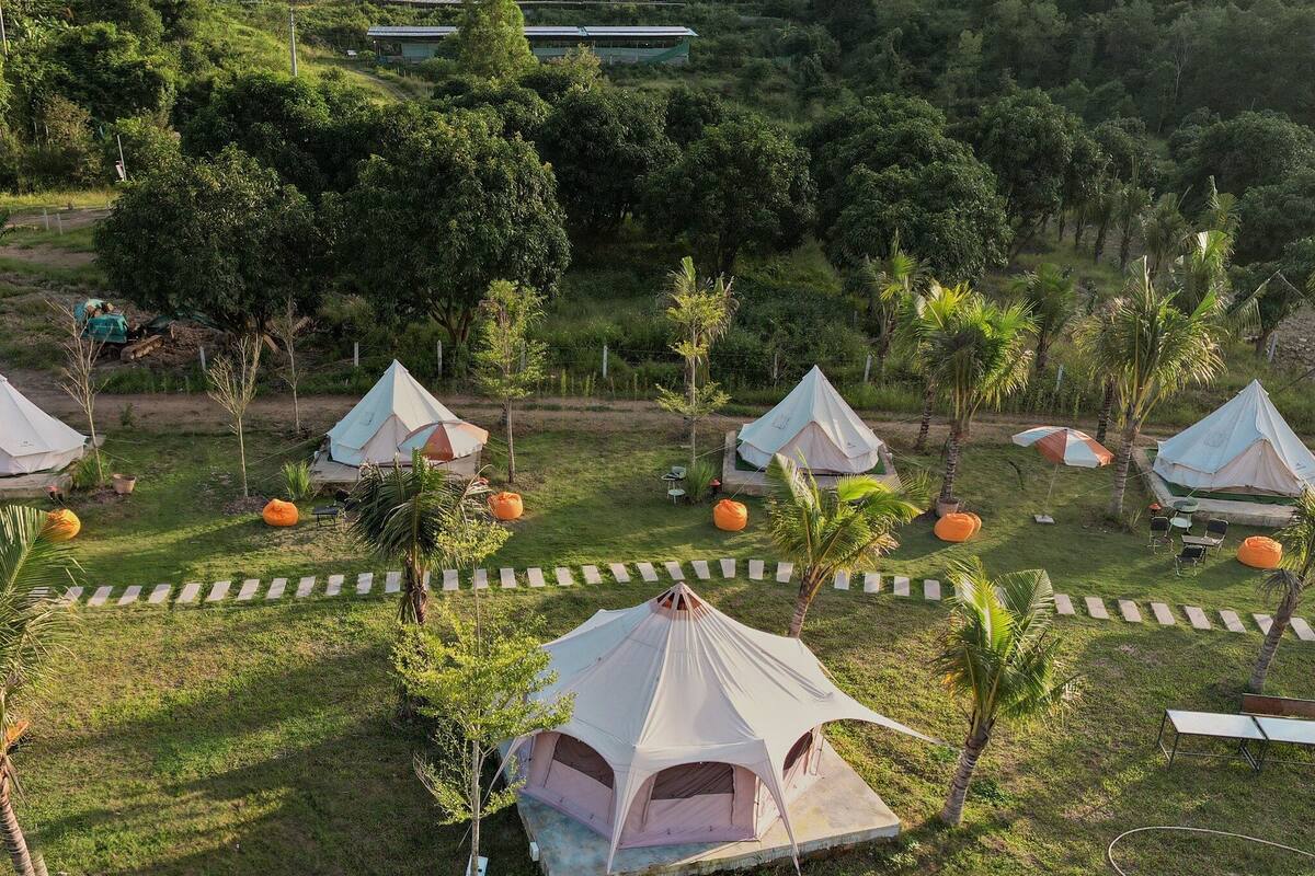 A campsite with multiple tents, some with attached canopies, surrounded by palm trees and greenery.