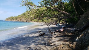 A beach with a person relaxing on a log, surrounded by trees and the ocean. - Beach Club Included | 1 min to beach | sleeps 5 | Plaza Mercado 12 (Las Catalinas)