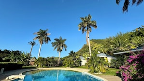 A pool surrounded by palm trees and a mountain in the background. - Moemiti (Moorea-Maiao)