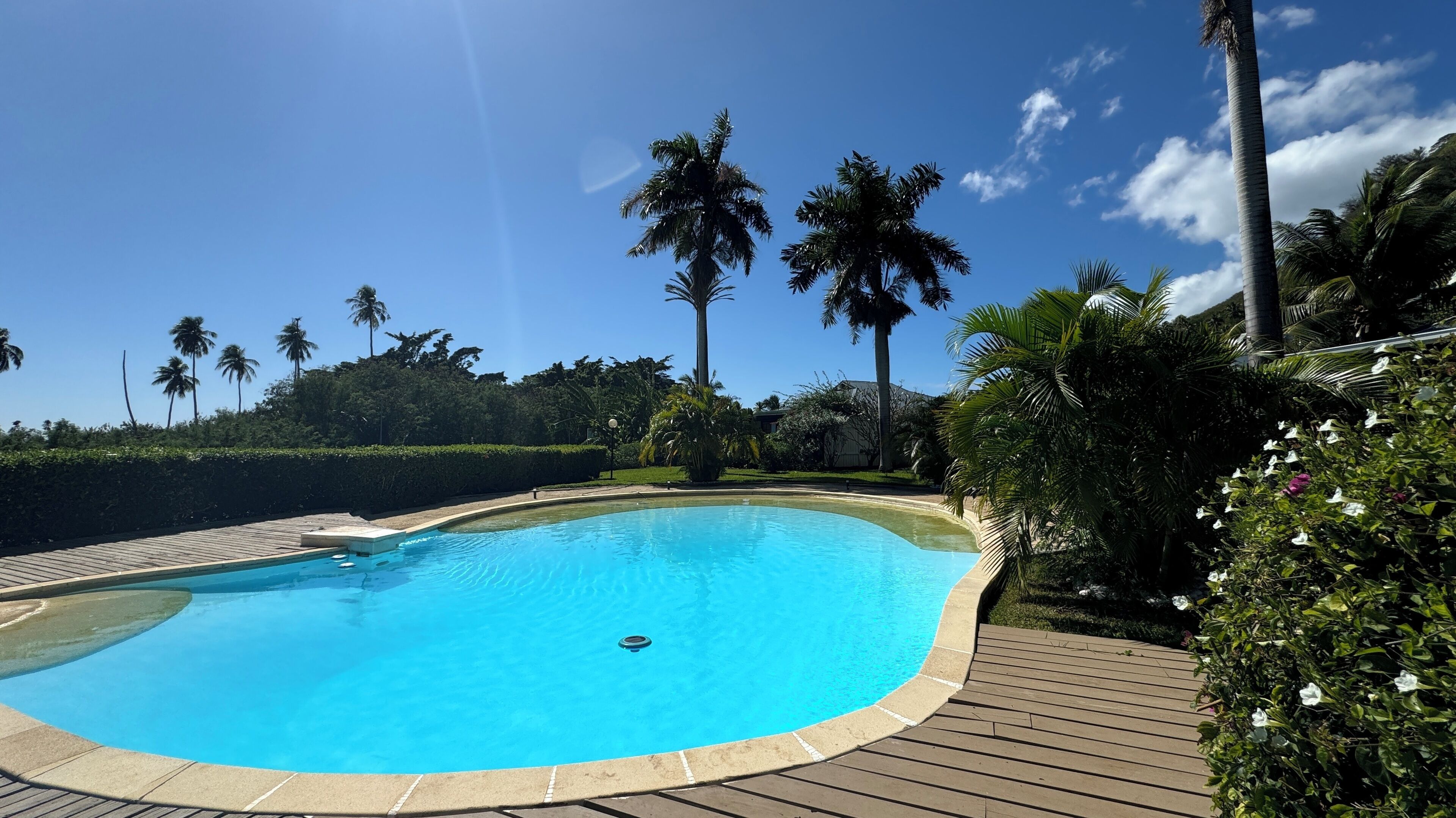 A clear blue swimming pool surrounded by a wooden deck, palm trees, and lush greenery.