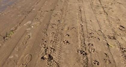 Chalet Sleeps 4 Near Cymyran Beach