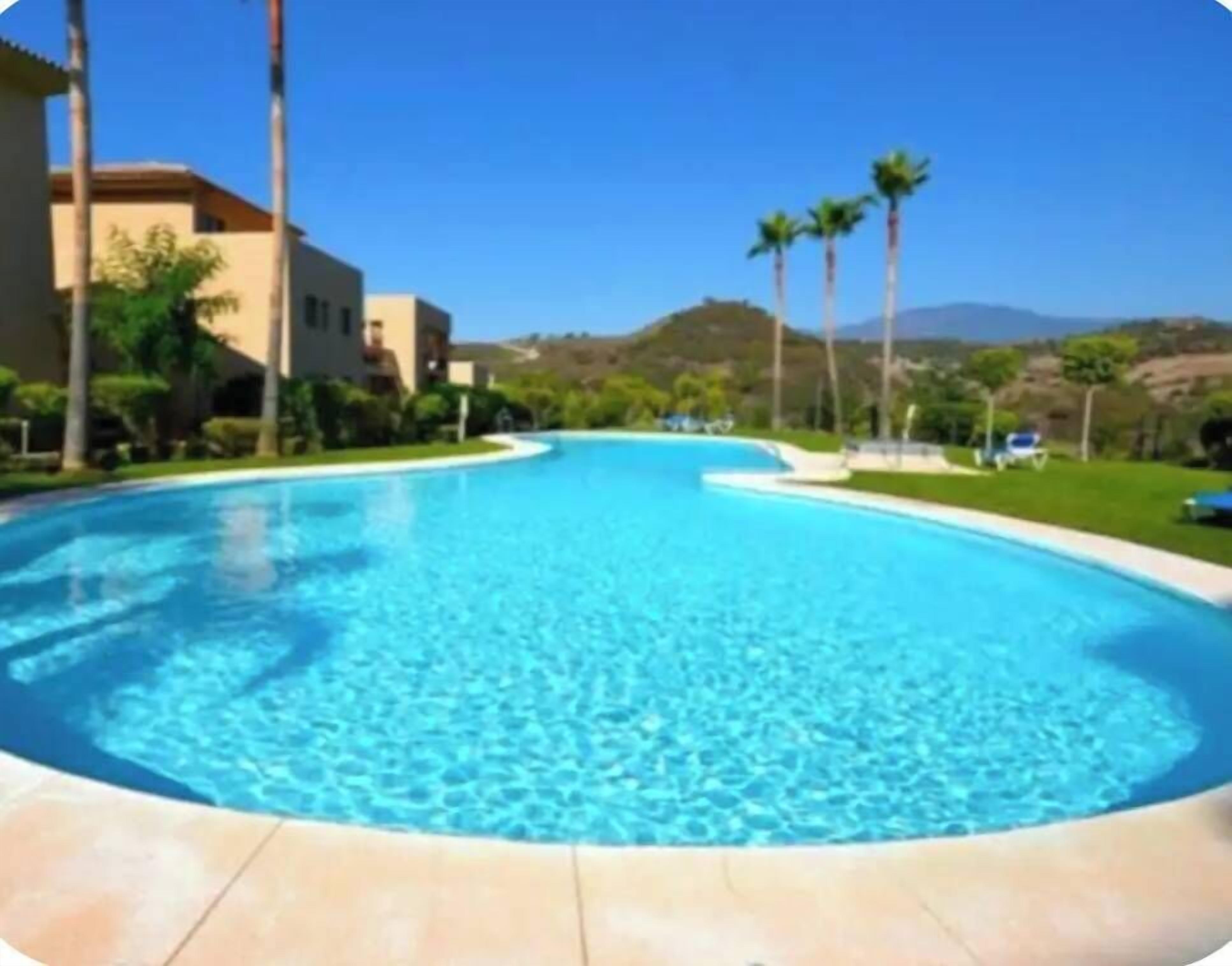 A swimming pool with clear blue water, surrounded by palm trees and a hilly landscape in the background.
