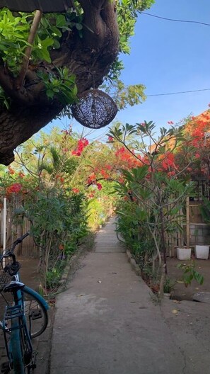 Reception - Intan Inn Hostel (Gili Trawangan)