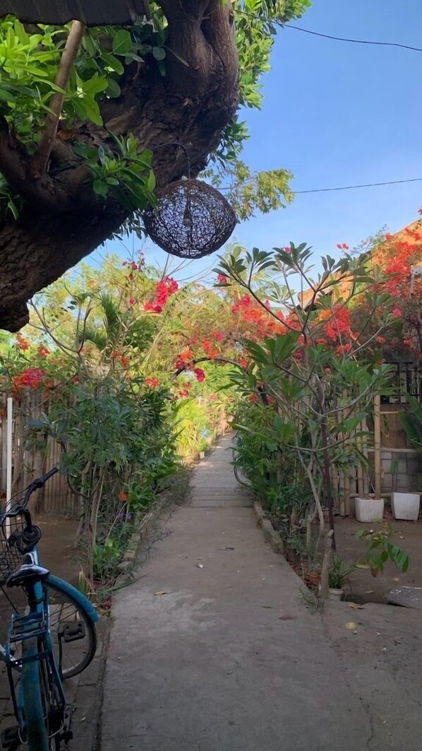 Reception - Intan Inn Hostel (Gili Trawangan)