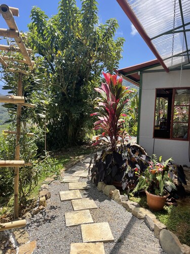 Enchanting zen home for friends and family, sleeps up to 8, kid friendly! 