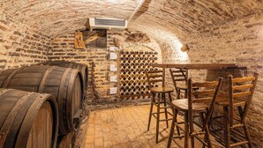 A cellar with wooden barrels, a wine rack, and rustic stone walls. - Vineyard House Boris w/ Panoramic Views, Ljutomer, Slovenia (Ljutomer)