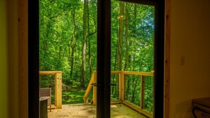 A wooden deck with a glass door leading to a forest view.