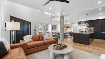 Télévision, cheminée, espaces bureaux