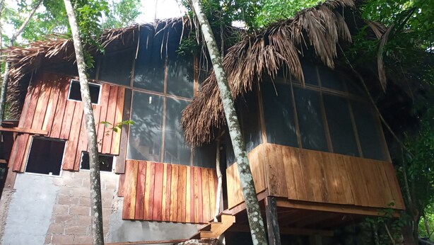 A rustic wooden building with a thatched roof, surrounded by trees.