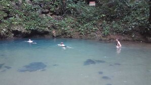 A natural pool with clear water surrounded by lush greenery and rocky terrain.