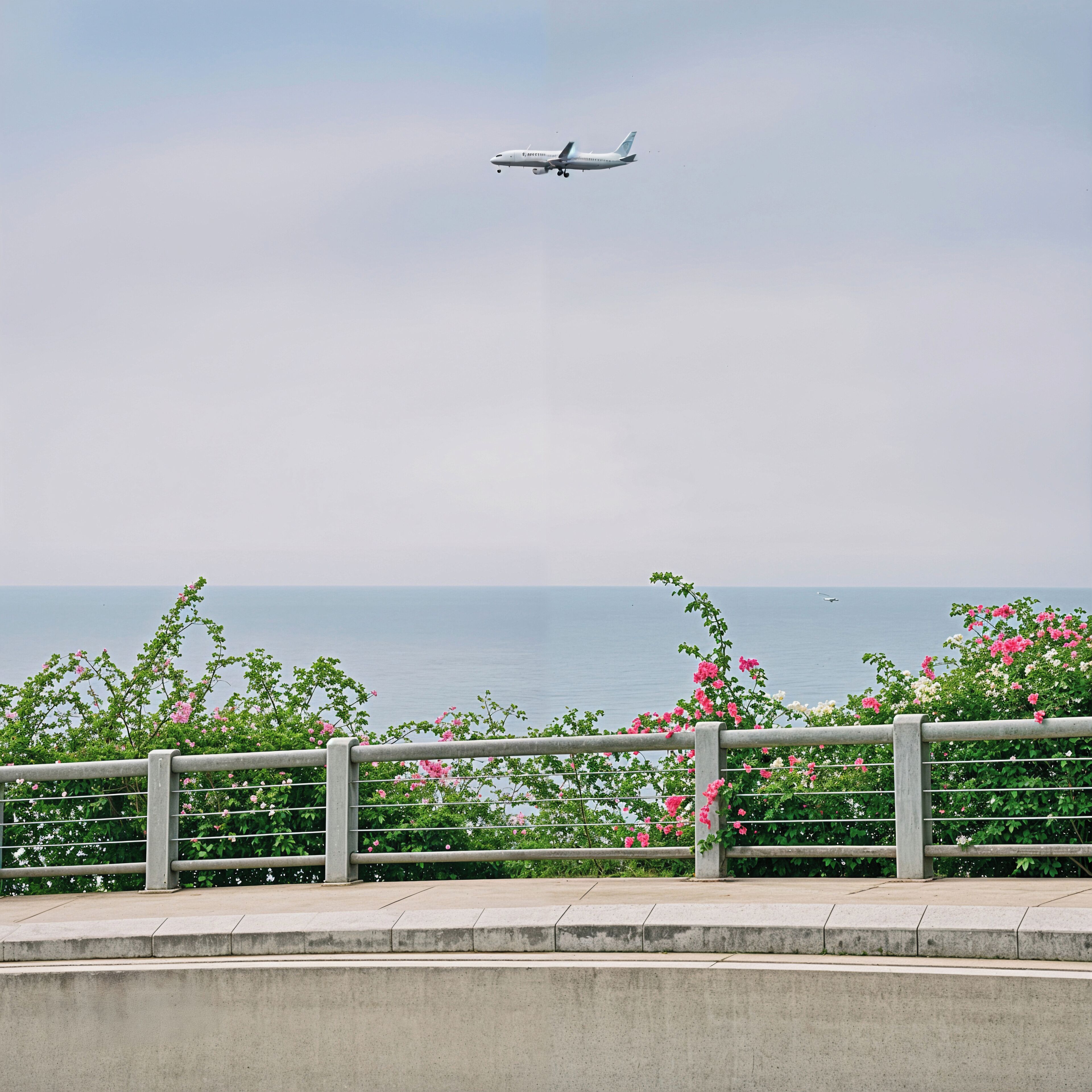 Blick auf eine Küstenlandschaft mit einer Betonmauer, blühenden Pflanzen und einem entfernten Flugzeug.