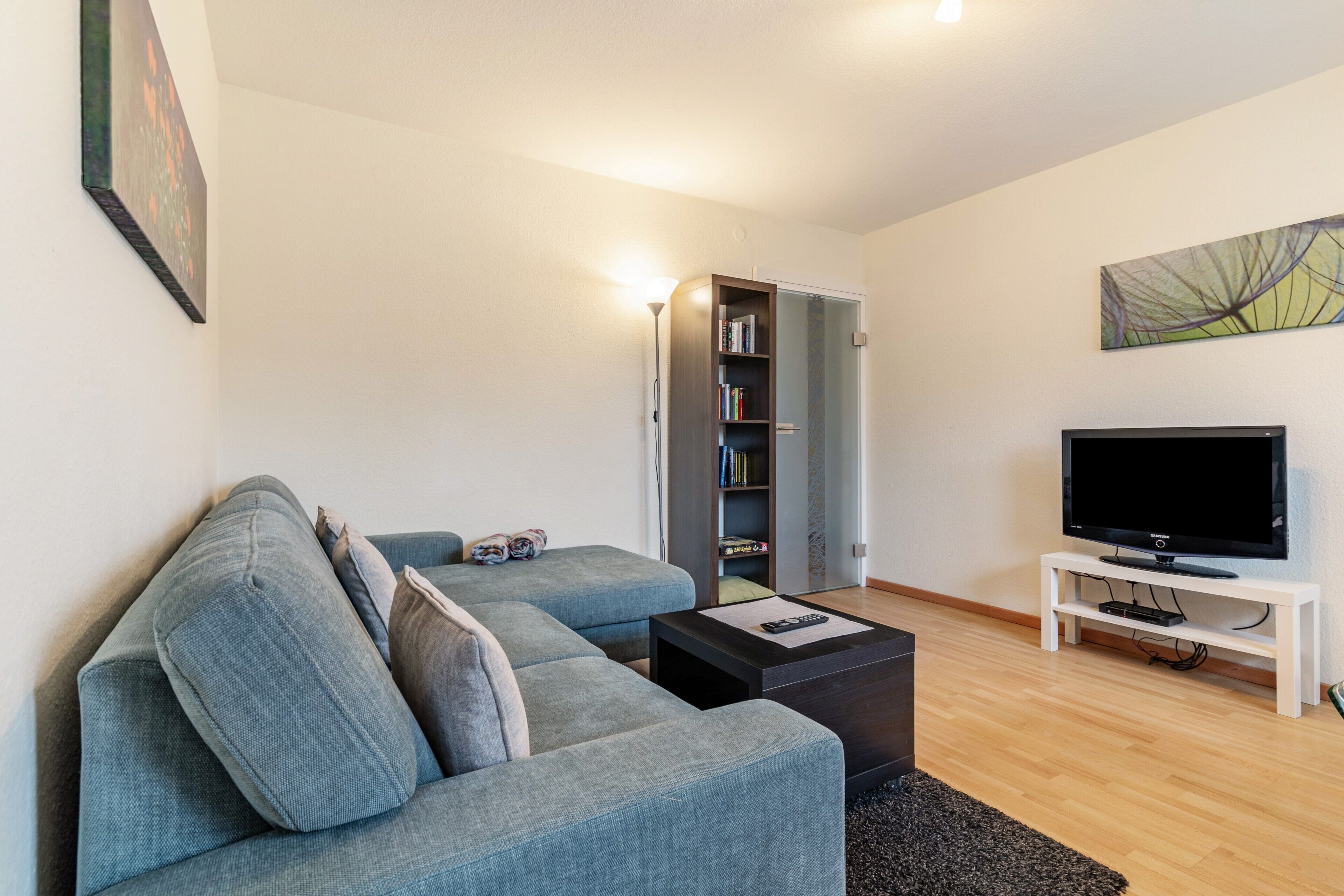 Fernseher