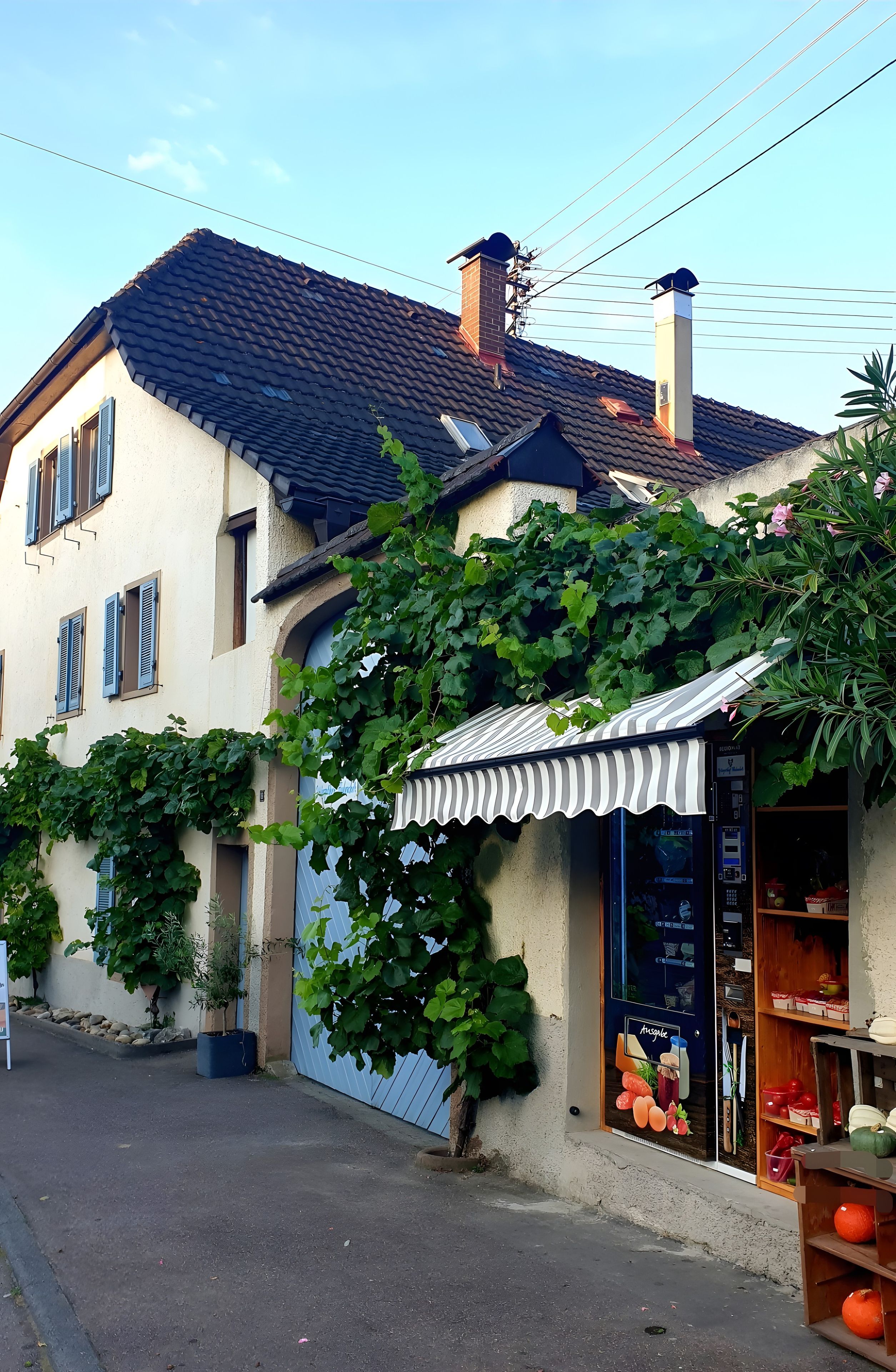 A two-story building with a tiled roof, a shop with a striped awning, and a garden with green foliage.