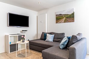 TV - Apartment 'Ferienwohnung Zur Weinsteige' with Wi-Fi (Ihringen am Kaiserstuhl)