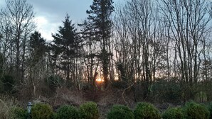 Paisagem natural com árvores, um espaço gramado e um lampião.
