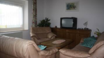 Fernseher