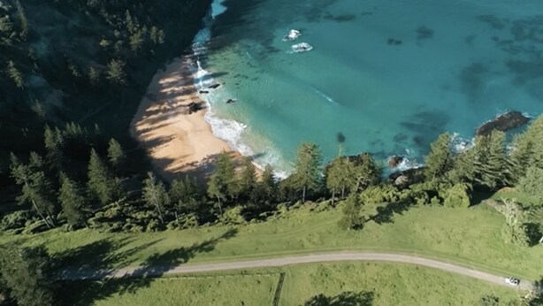 An aerial view of a coastal area with a road, beach, and forest.
