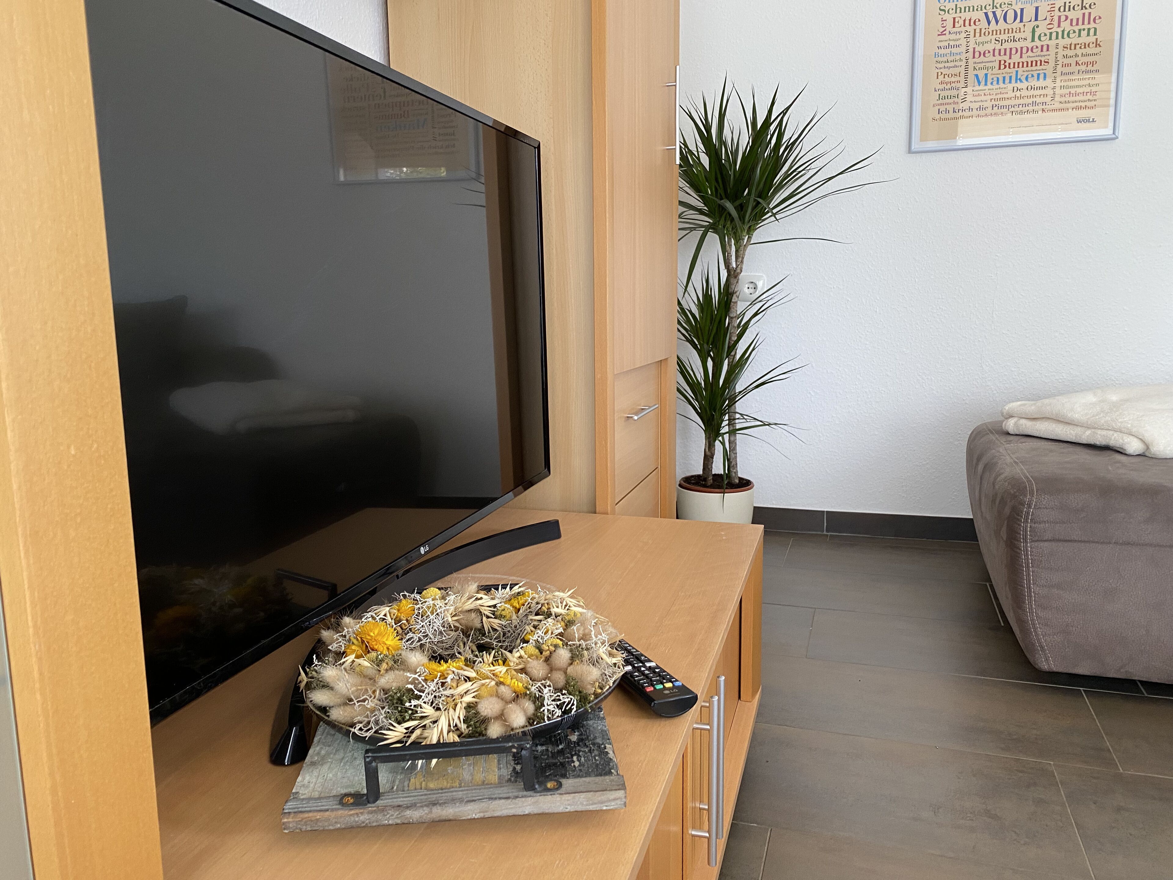 Una sala de estar moderna con un televisor de pantalla plana, una mesa de centro de madera con una planta decorativa y un sofá gris.