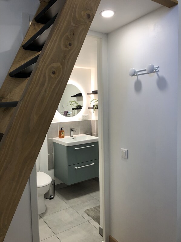 Regadera, amenidades de baño ecológicas, secadora de cabello, toallas