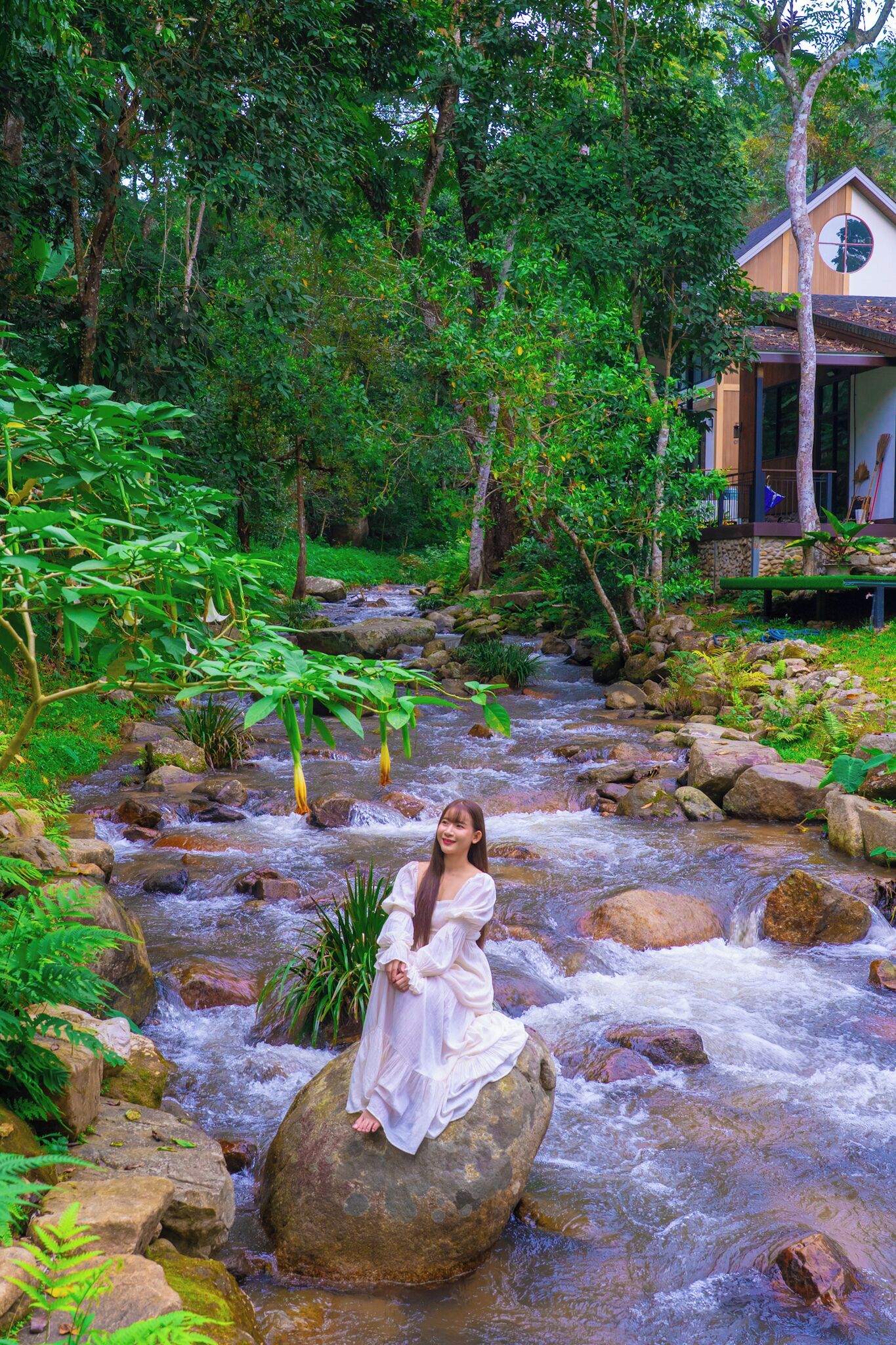 A woman sitting on a rock by a flowing stream in a lush, green forest.