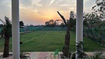 Garden view