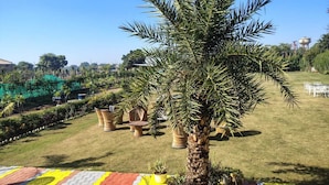 Un jardín bien cuidado con palmeras, muebles de mimbre y una torre de agua al fondo.