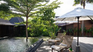 Une terrasse en bois avec des chaises longues et des parasols, une petite piscine et une végétation tropicale.