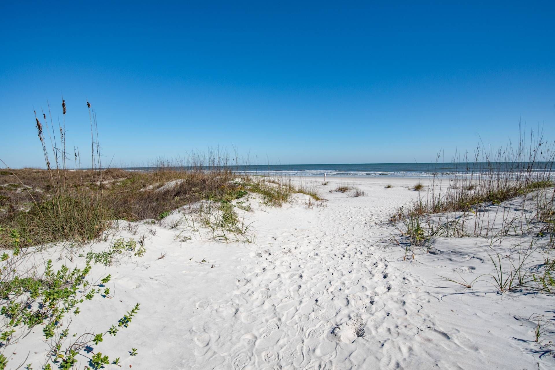 A sandy beach with sparse vegetation and a clear blue sky.
