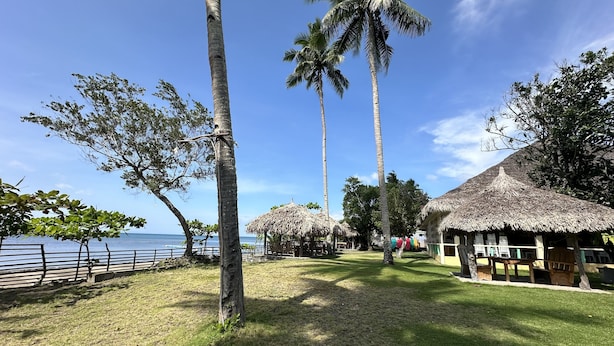 A tropical resort with palm trees, thatched-roof huts, and a view of the ocean.