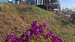 Exterior - londonhill (Khao Kho)