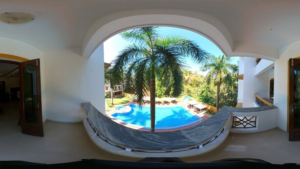 Vista a través de un ventanal circular de una piscina rodeada de palmeras, con un cielo despejado.