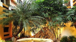 Un patio con una palmera, un muro de piedra y un pequeño estanque.