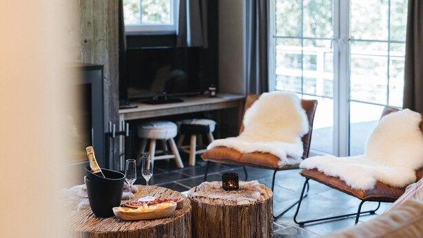 A cozy seating area with a fireplace, a television, and a view of the outdoors. - Villa in Durbuy near Golf Course (Durbuy)