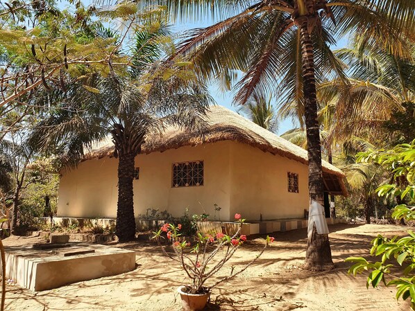 A single-story house with a thatched roof, surrounded by palm trees and a sandy ground.