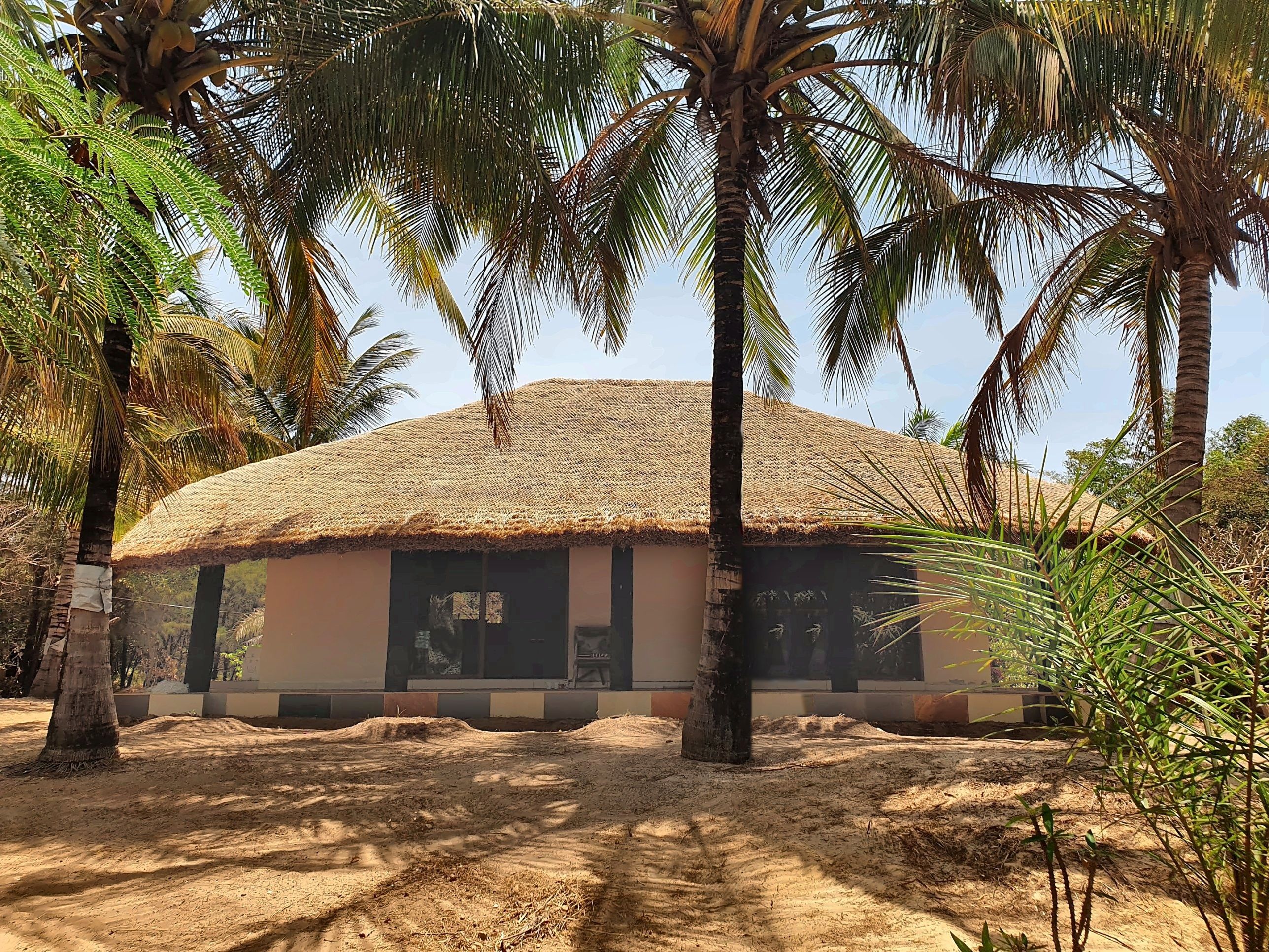 A thatched-roof building surrounded by palm trees.