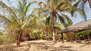 Un décor tropical, avec des palmiers et une structure surmontée d’un toit de chaume.