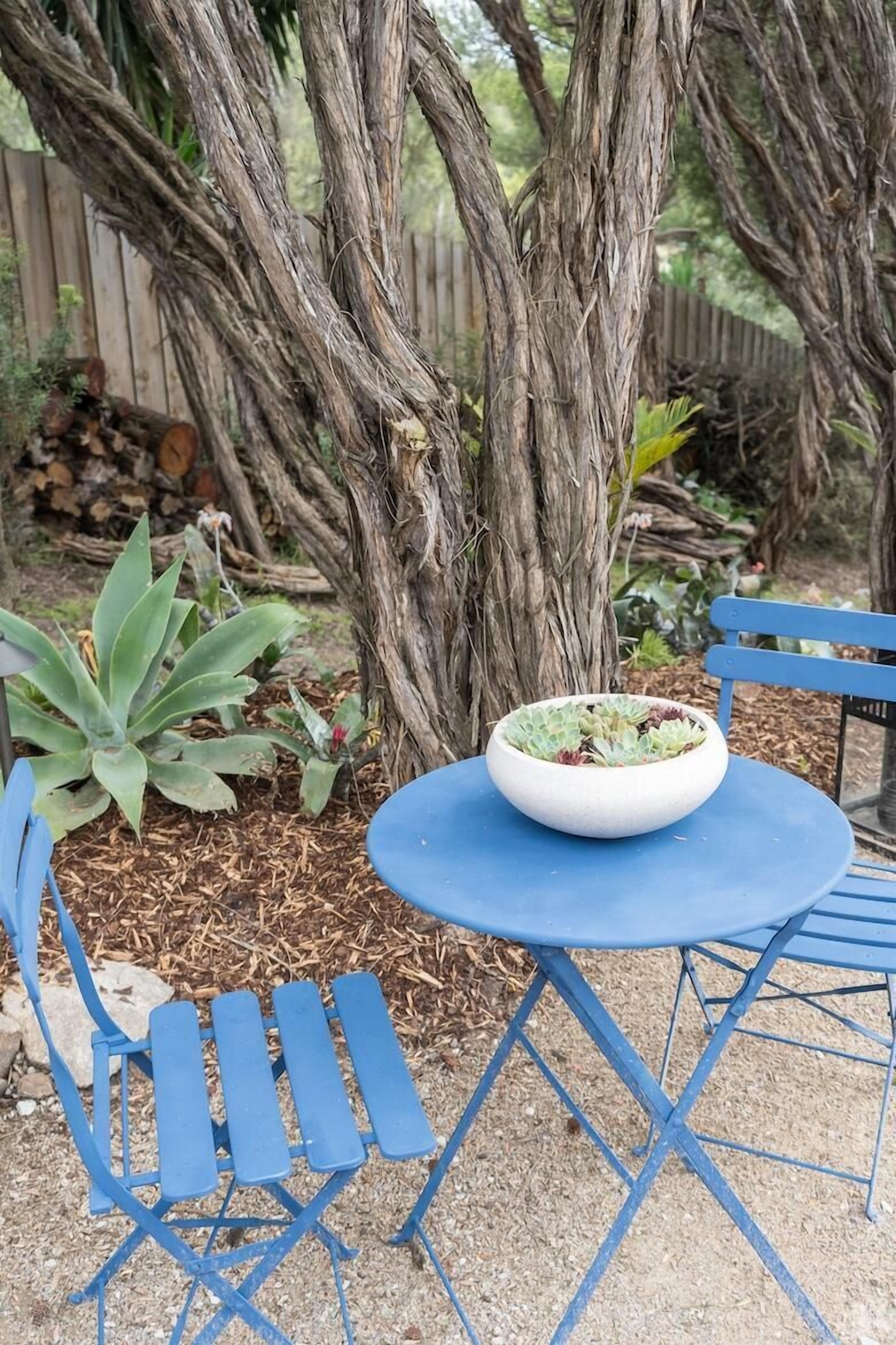 Una mesa azul al aire libre con un bol de suculentas, rodeada de árboles y una valla de madera.
