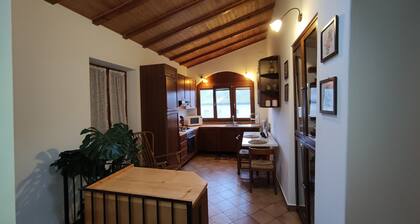 Casa Reale