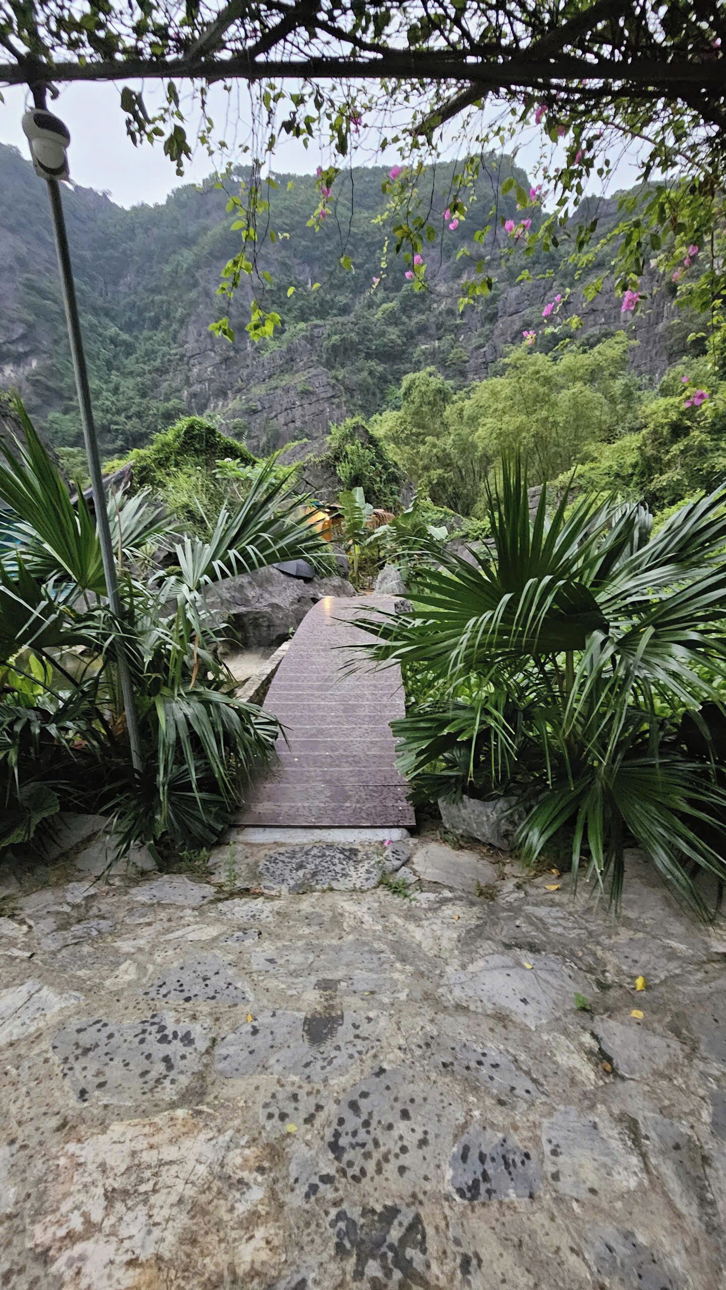 Uma trilha de pedra que leva a uma ponte de madeira sobre terreno rochoso, cercada por vegetação exuberante e um cenário montanhoso.