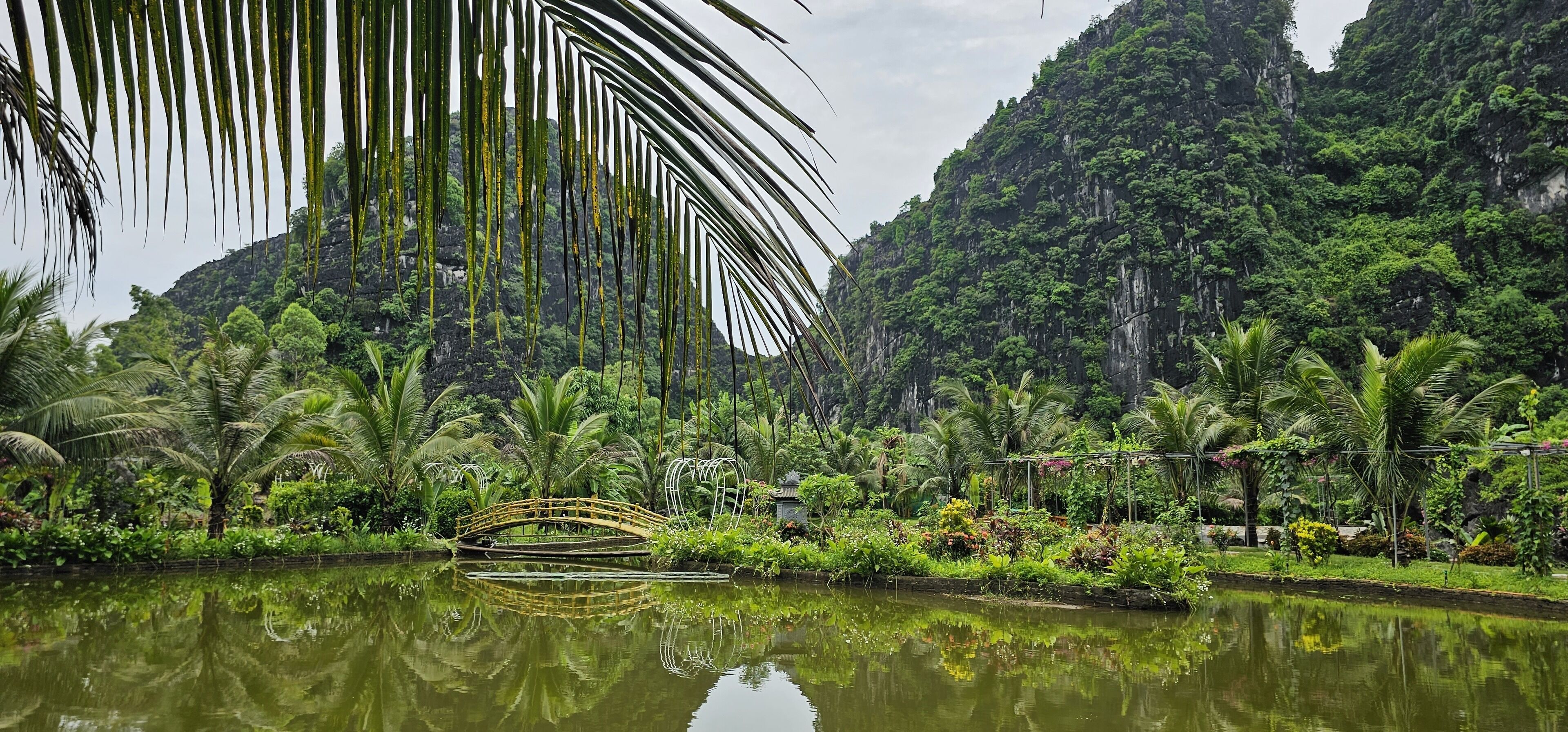 A serene garden with a pond, palm trees, and a bridge.