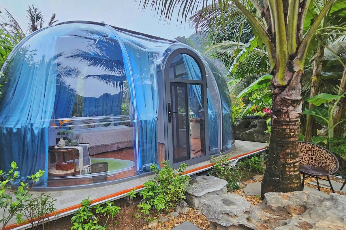 Una estructura abovedada transparente con una cama y zona de estar en su interior, rodeada de follaje y rocas.