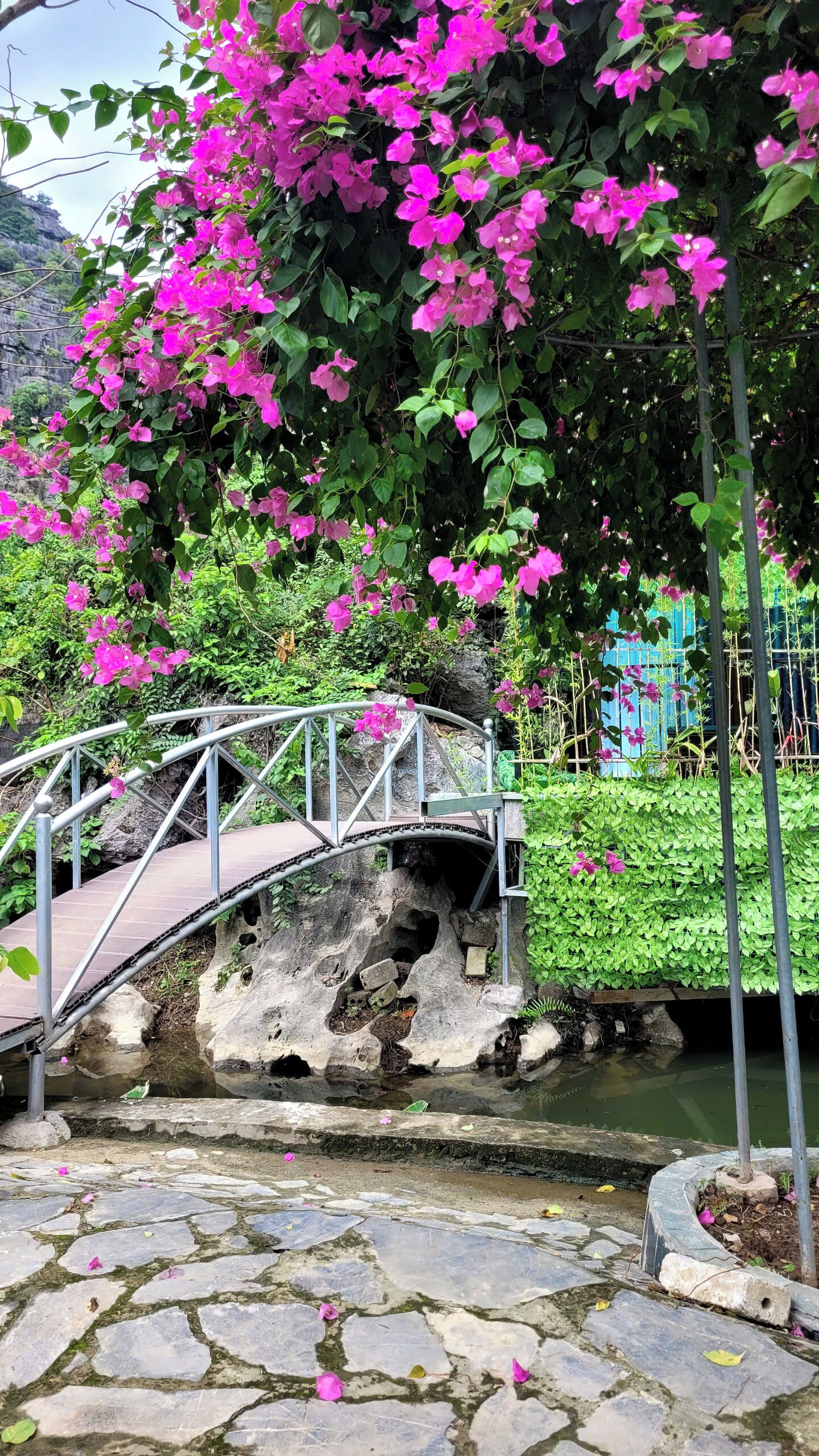 A stone bridge over a stream with pink flowers and greenery.