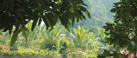 A serene garden with a wooden bridge over a pond, surrounded by lush greenery and tropical plants.
