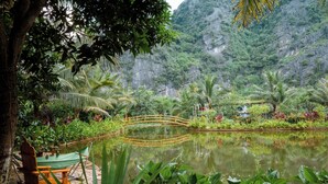 Un jardin paisible avec un pont en bois enjambant un étang, entouré d’une végétation luxuriante et dominé par un paysage montagneux.