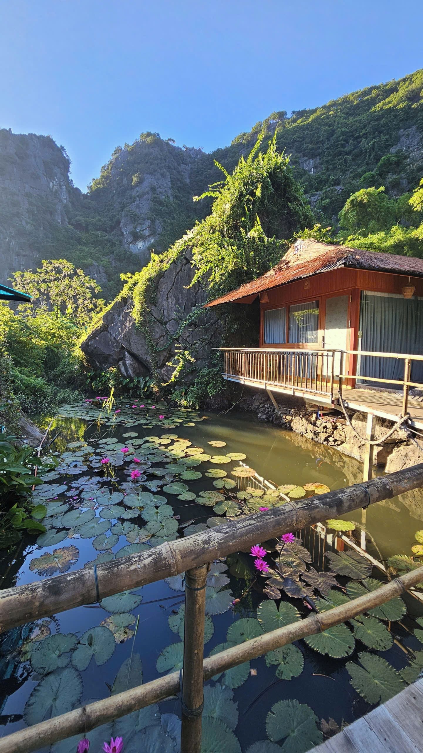 A rustic wooden house with a balcony overlooking a pond with lily pads and water lilies.