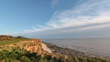 A coastal landscape with a grassy area leading to the sea, a clear sky, and a distant shoreline.