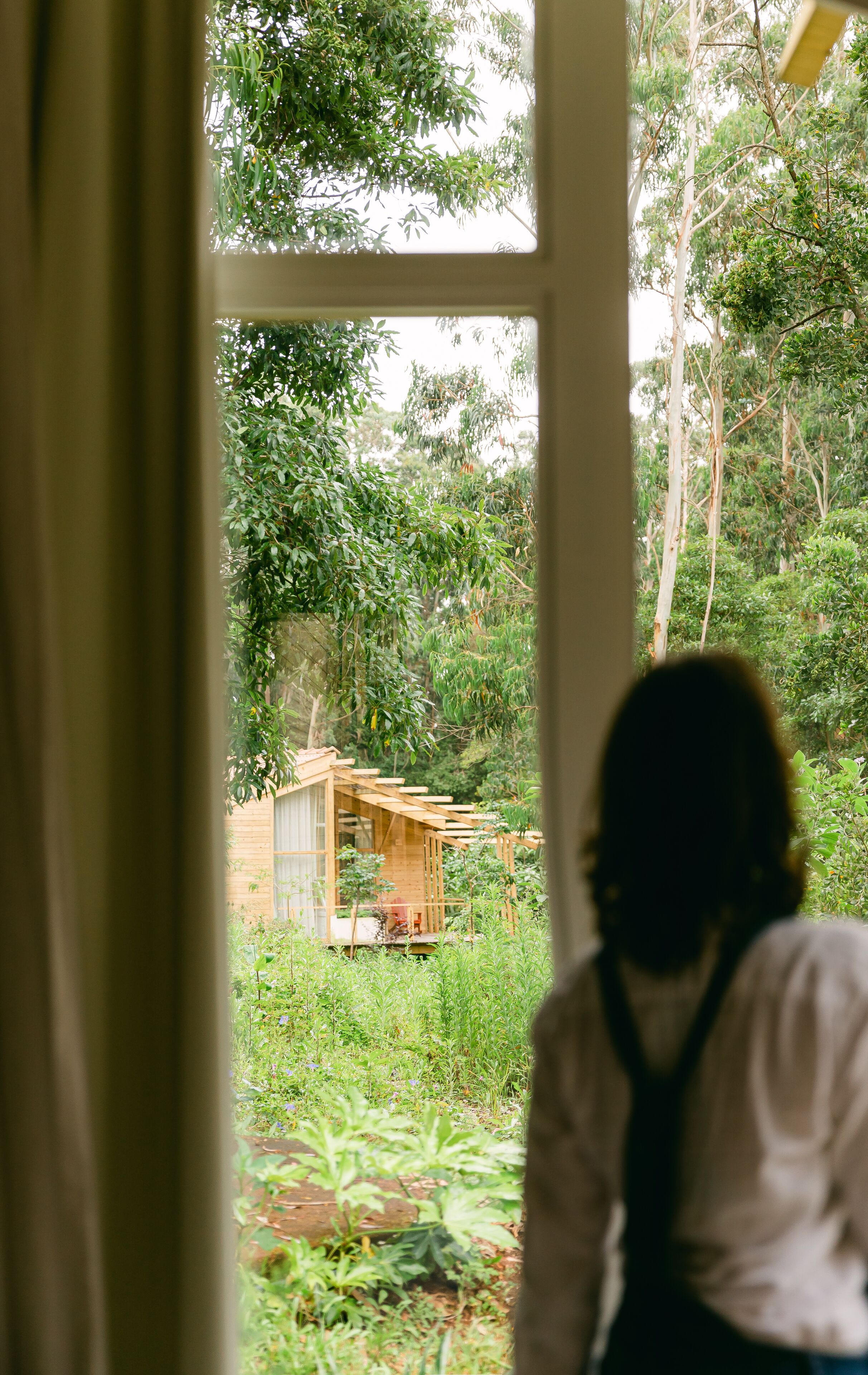 A view through a window with a wooden structure in the background, surrounded by greenery.