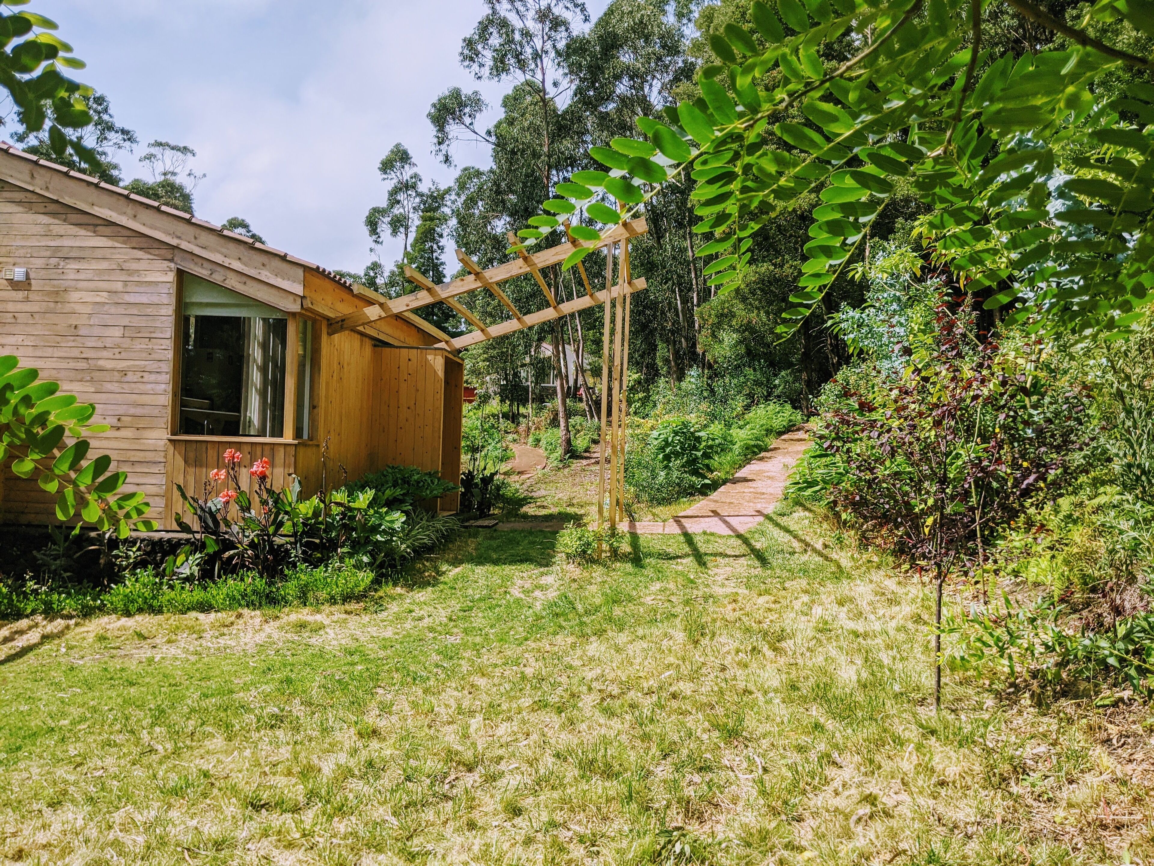 A wooden cabin with a wooden pergola in a lush garden.